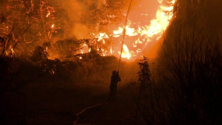 Снимка: архив, БГНЕС