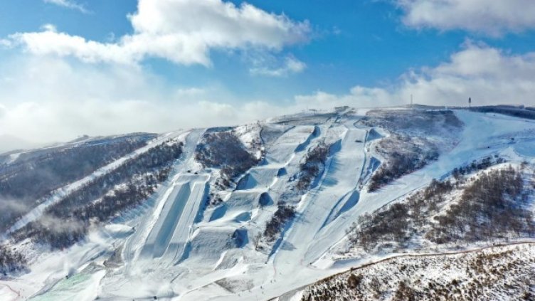 Снимка: БОК