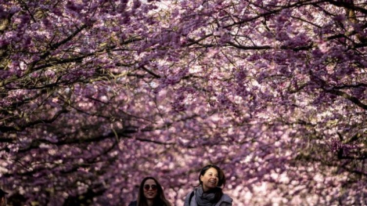 Годината в снимки: Април 2021