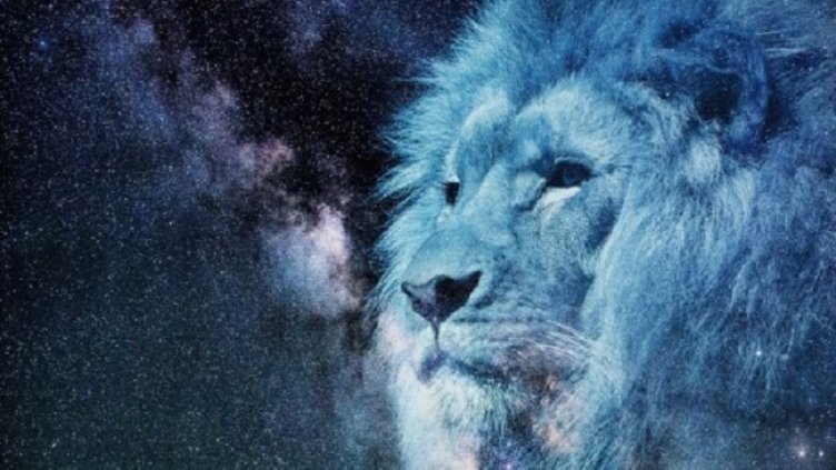 Снимка: Pixabay