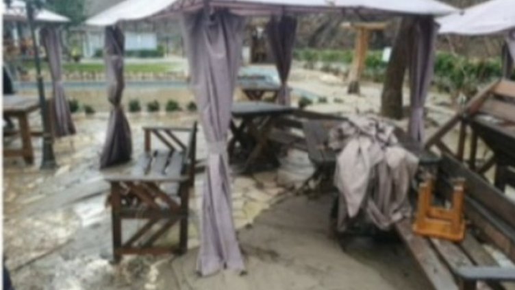 Снимка: кадър, БНТ