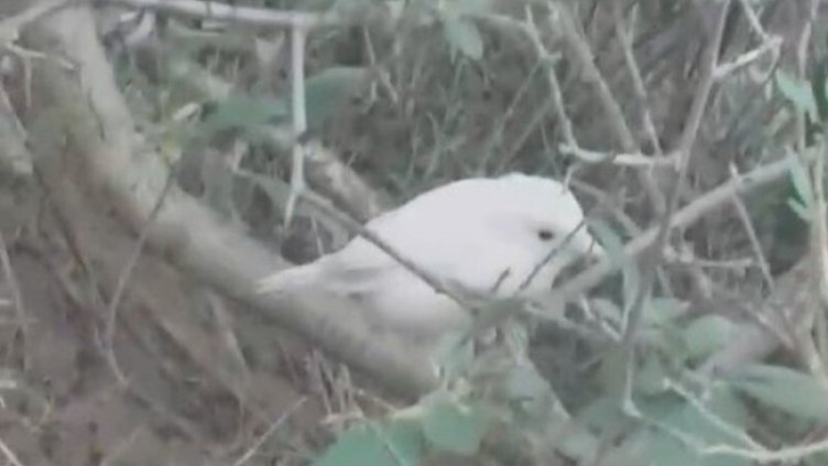 Годината в снимки: Август 2021