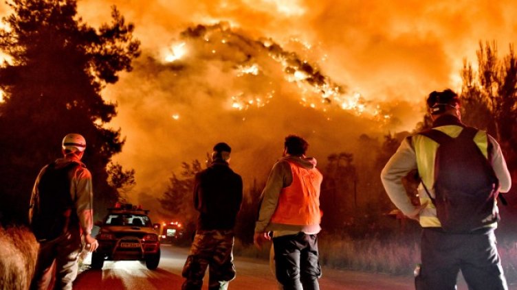 Снимка: БГНЕС