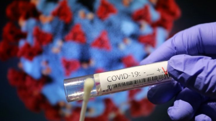 Снимка: архив, БГНЕС