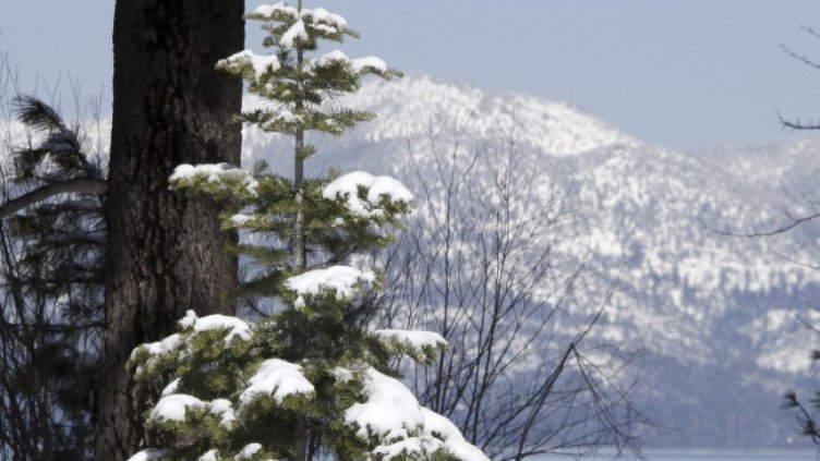 Снимка: архив, БГНЕС