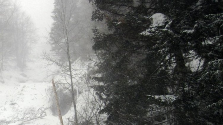 Снимка: архив, БГНЕС