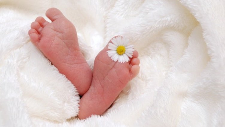 Снимка: Pixabay