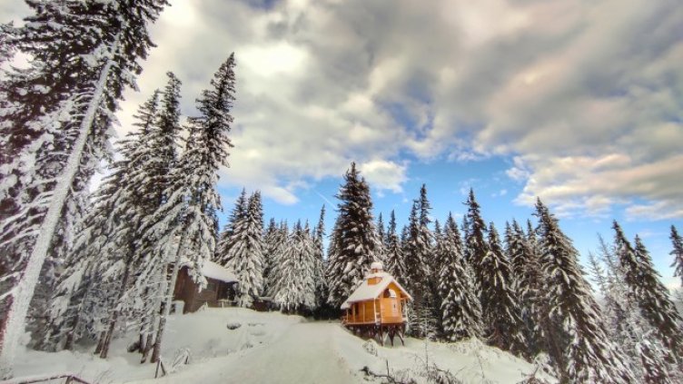 Снимка: БГНЕС