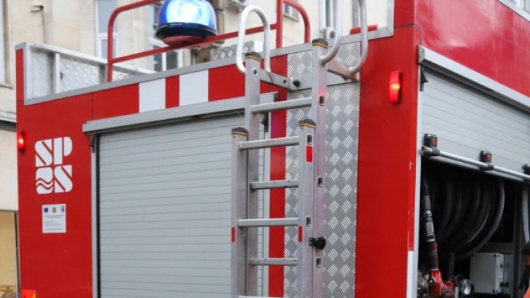 Снимка: БГНЕС