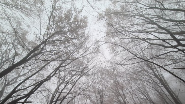 Снимка: архив, БГНЕС