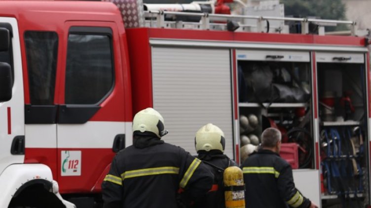 Снимка: архив, БГНЕС