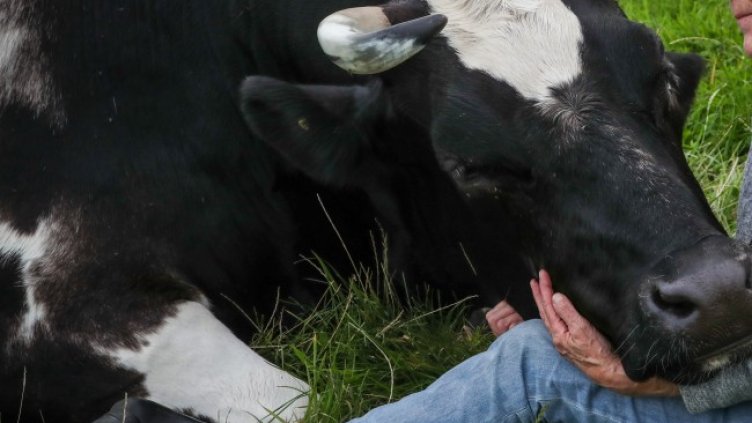 Снимка: БГНЕС, архив