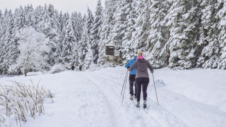 Снимка: Pixabay