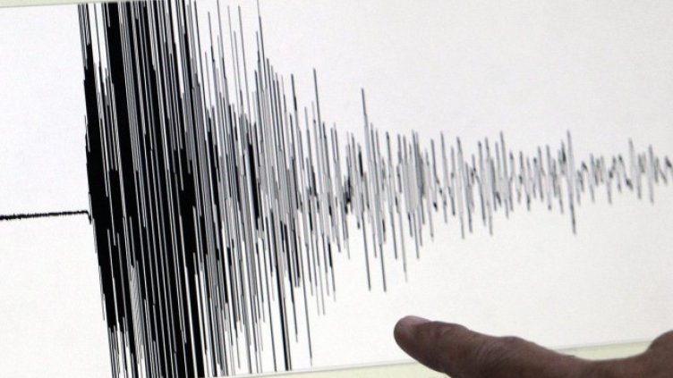 Снимка: архив, БГНЕС