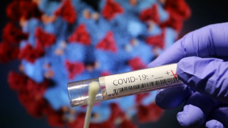 Снимка: архив, БГНЕС