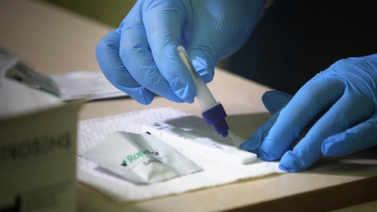 Снимка: Димитър Кьосемарлиев, Dnes.bg