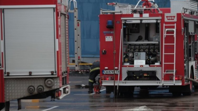 Снимка: Димитър Кьосемарлиев, Dnes.bg