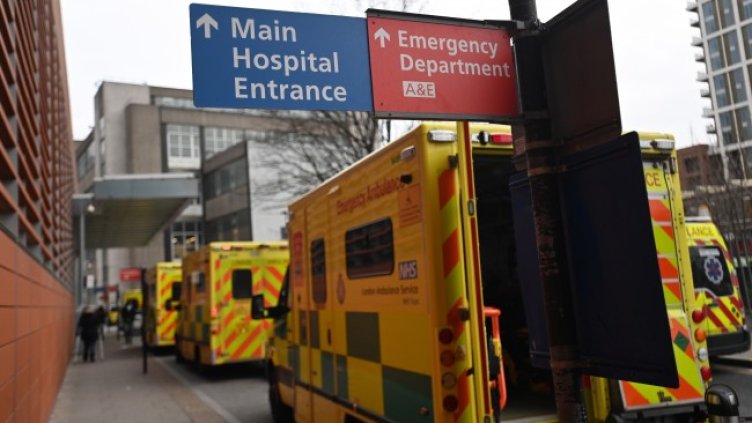 Снимка: архив, БГНЕС