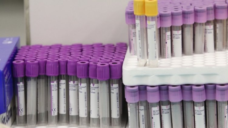 Снимка: архив, БГНЕС