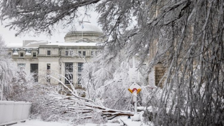 Снимка: архив, БГНЕС