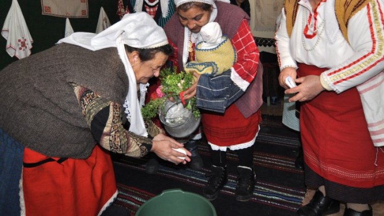 Снимка: архив, БГНЕС