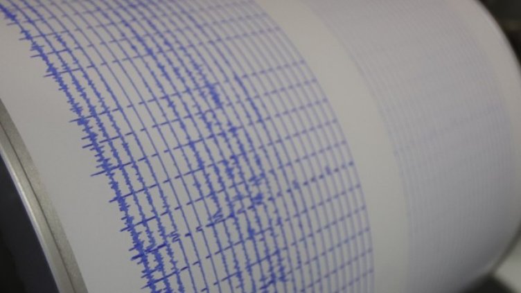 Снимка: архив, БГНЕС