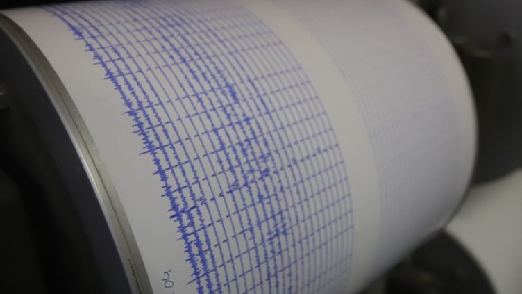 Снимка: архив, БГНЕС