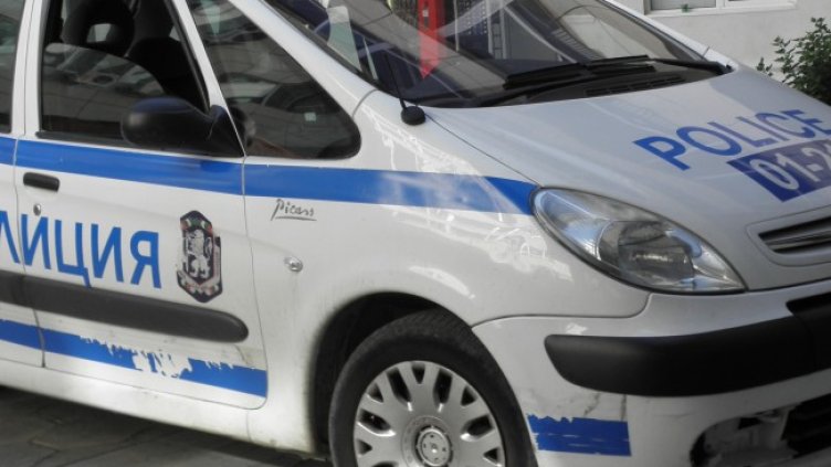 Снимка: архив, БГНЕС