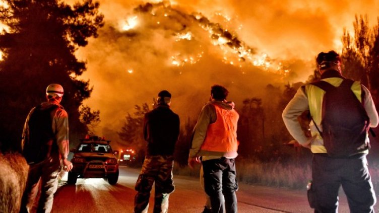 Снимка: БГНЕС