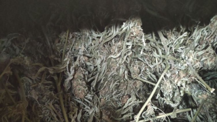 Снимка: Агенция "Митници"