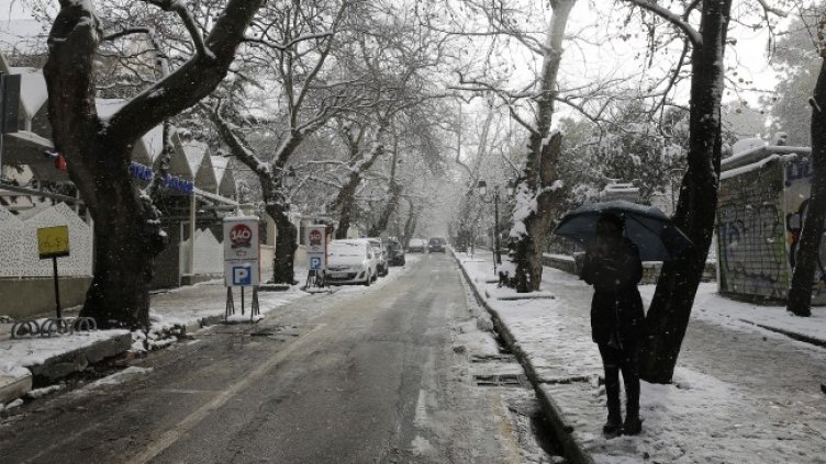 Снимка: архив, БГНЕС