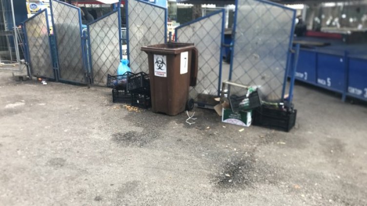 Снимка: Helpbook