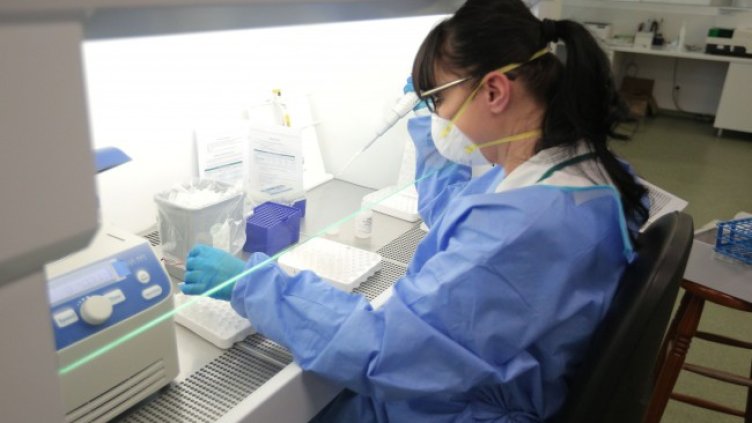 Снимка: Димитър Кьосемарлиев, Dnes.bg