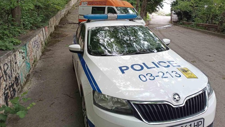 Снимка: БГНЕС