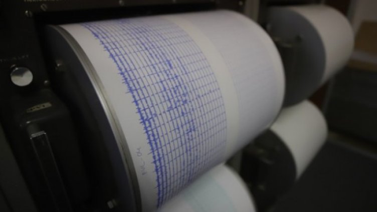 Снимка: архив, БГНЕС