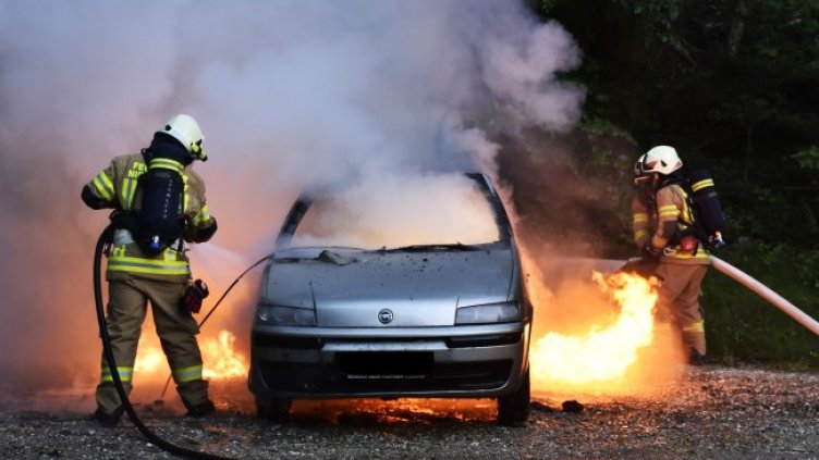 Снимка: Pixabay