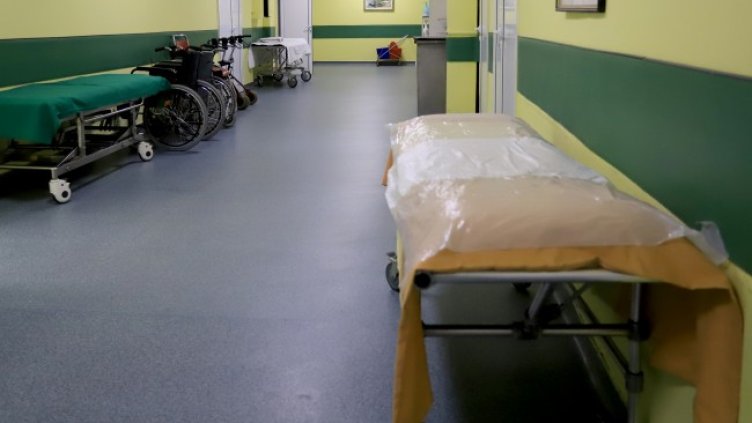 Снимка: БГНЕС