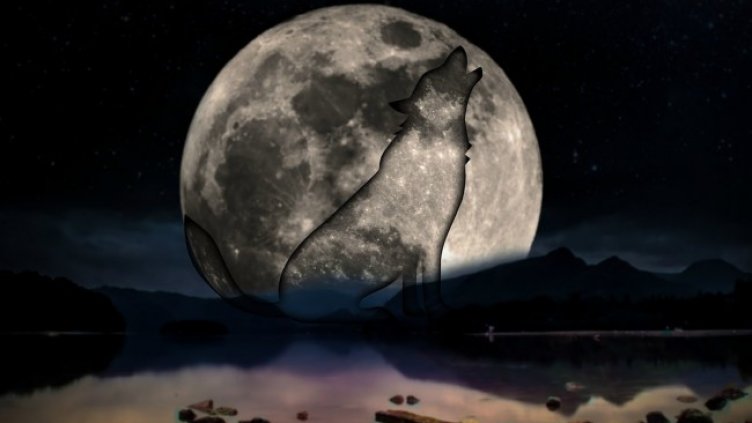 Снимка: Pixabay