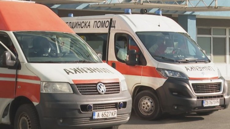 Снимка: архив, БГНЕС