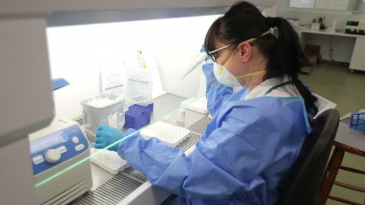 Снимка: Димитър Кьосемарлиев, Dnes.bg