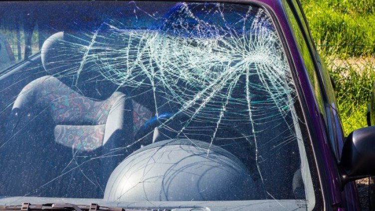 Снимка: Pixabay