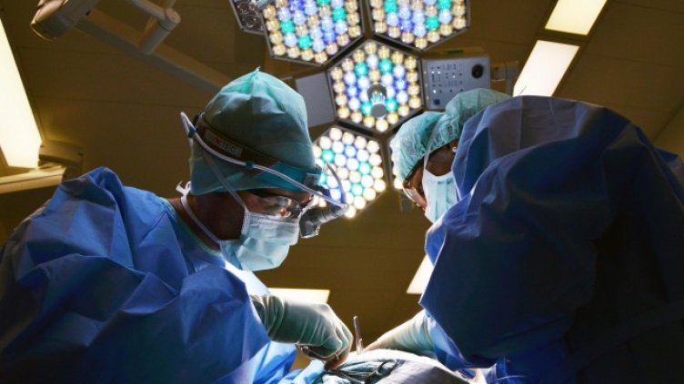 Снимка: Pixabay