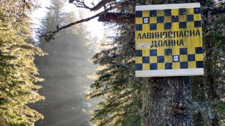 Снимка: БГНЕС