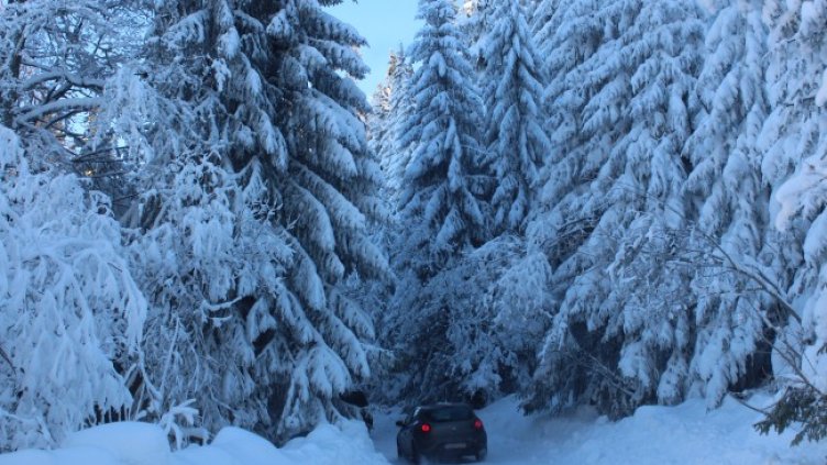 Снимка: БГНЕС, архив