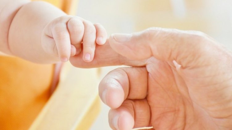 Снимка: Pixabay