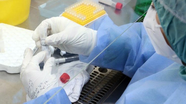 Снимка: архив, БГНЕС