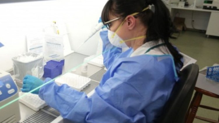 Снимка: Димитър Кьосемарлиев, Dnes.bg