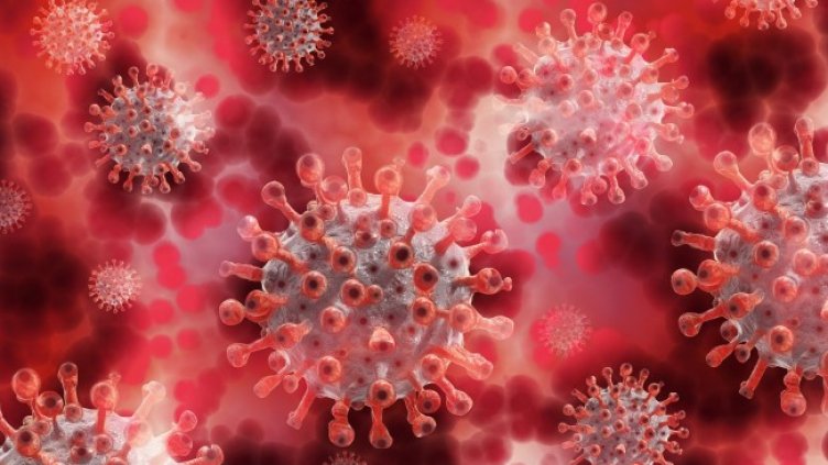 Снимка: Pixabay