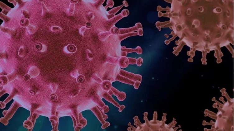 Снимка: Pixabay