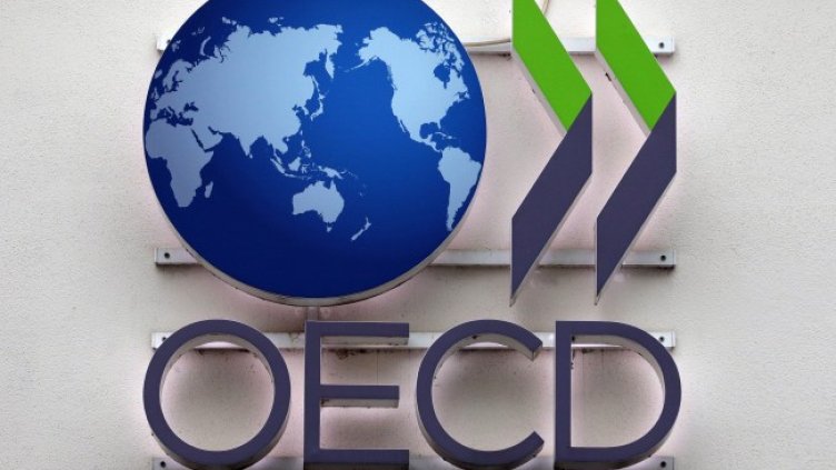 Снимка: архив, БГНЕС